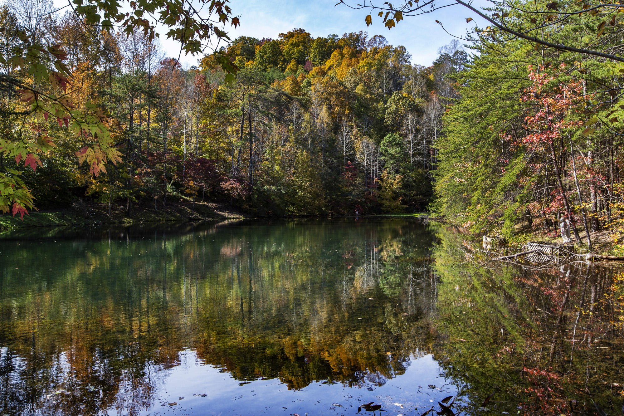 542 Butler Mill Road Maryville, TN 37803 - Photo 21 of 40 Gallery Image 21