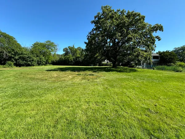 a view of a green field with trees in the background