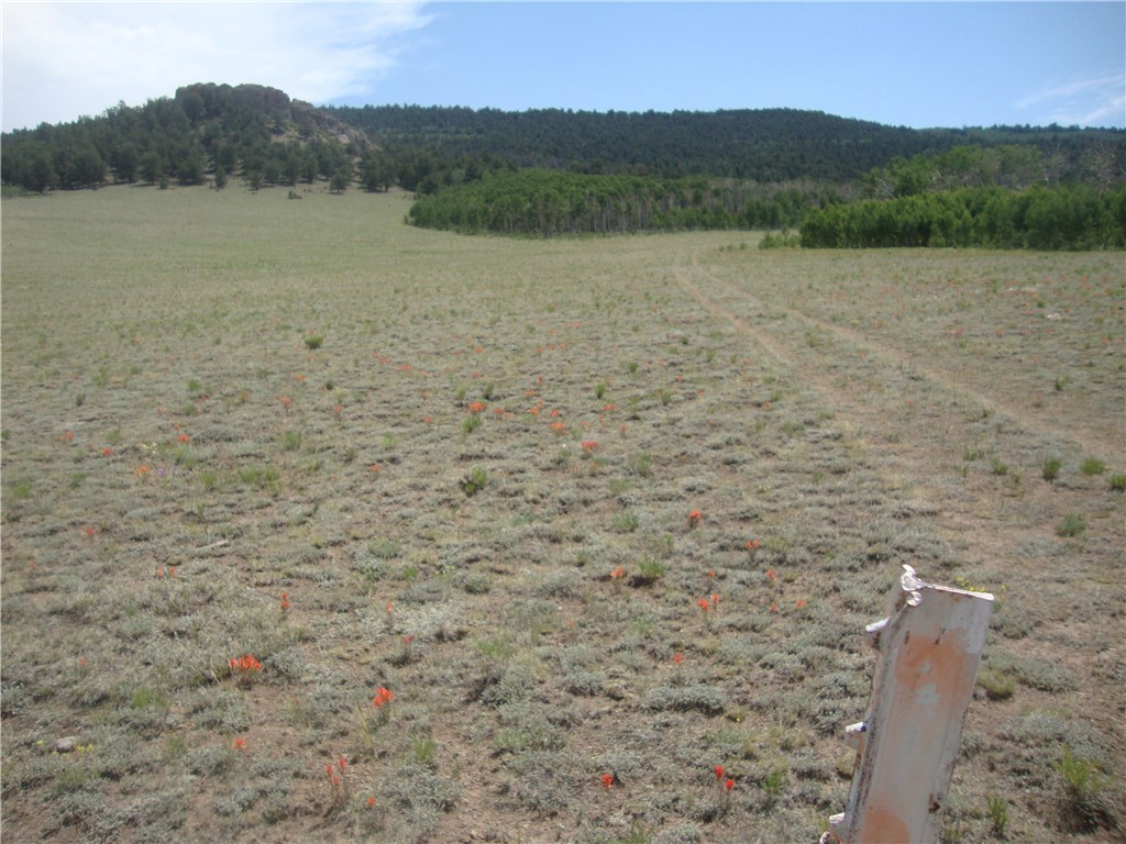 2327 Gap Road Fairplay, CO 80440 - Photo 7 of 8 Gallery Image 7