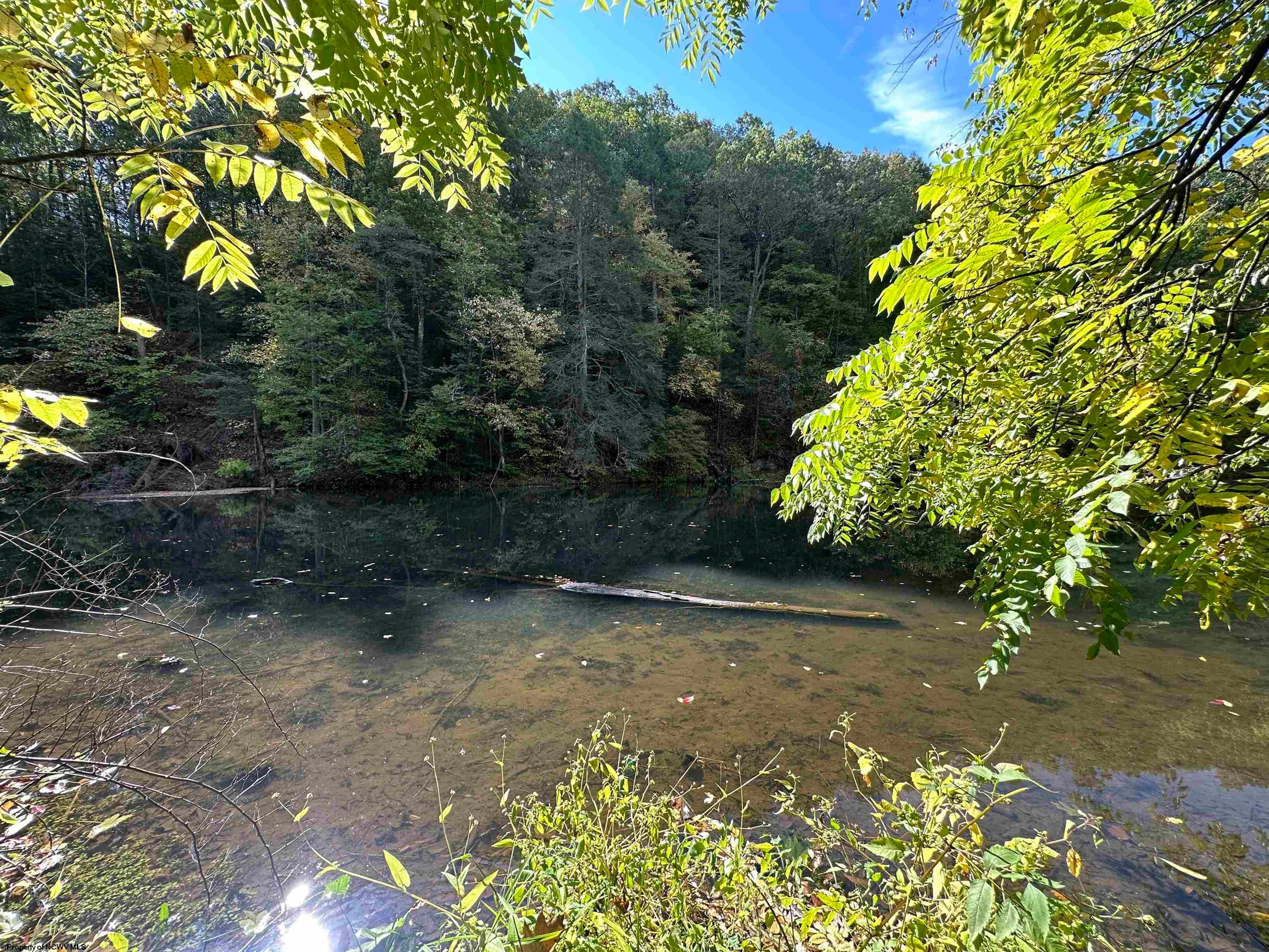 403 Scott Ford Road Elkins, WV 26241 - Photo 44 of 50 Gallery Image 44