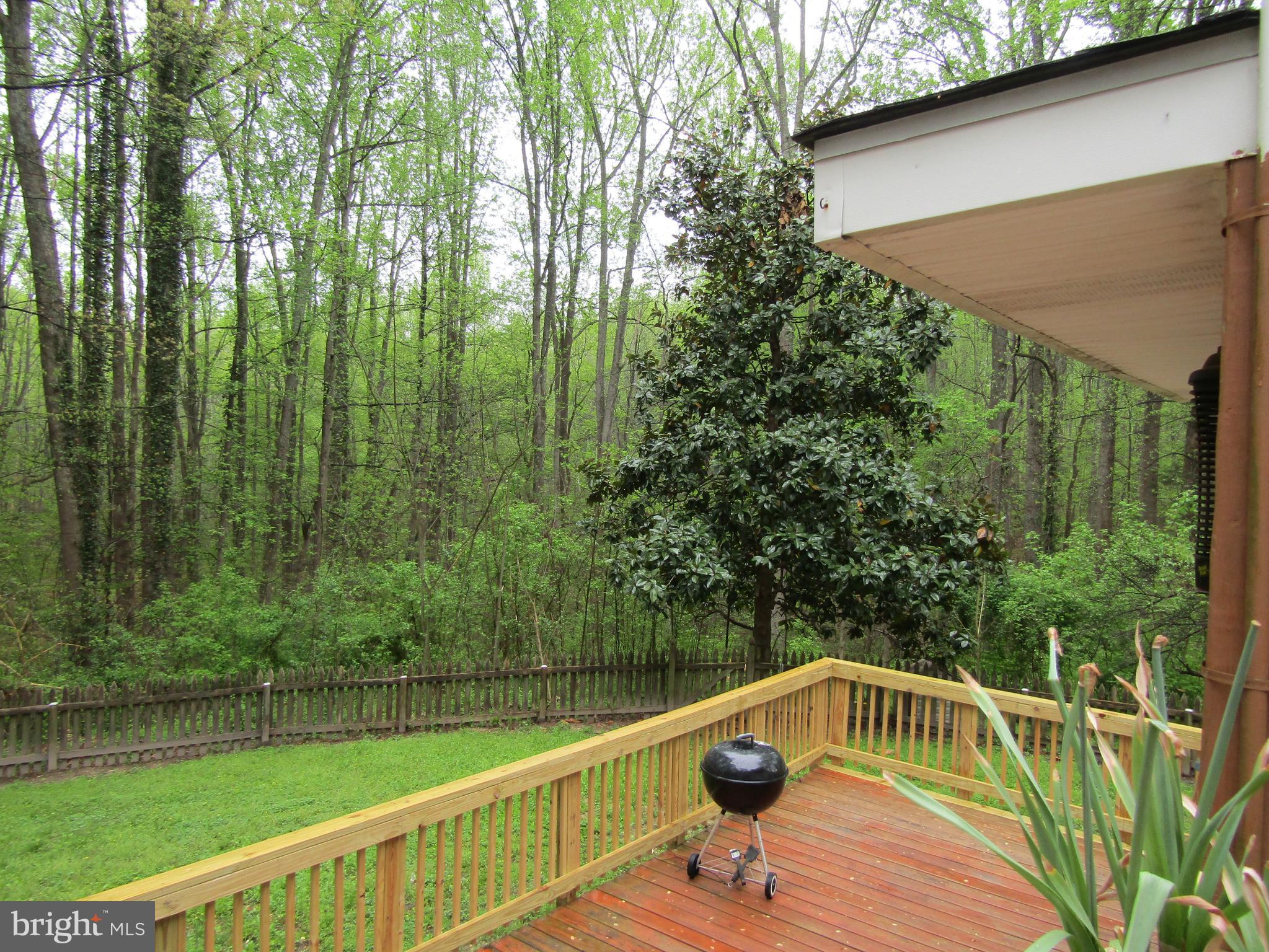 280 Sandy Ridge Road Fredericksburg, VA 22405 - Photo 74 of 81 Gallery Image 74