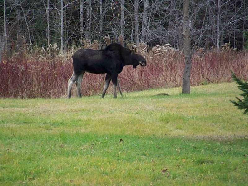 796 Jackins Settlement Road Orient, ME 04471 - Photo 18 of 20 Other.