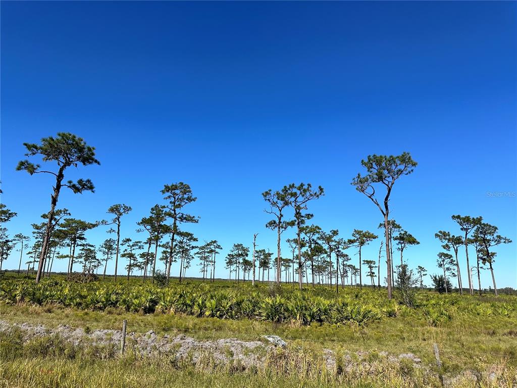 West County Line Road Fort Meade, FL 33841 - Photo 2 of 5 a view of a house with a big yard