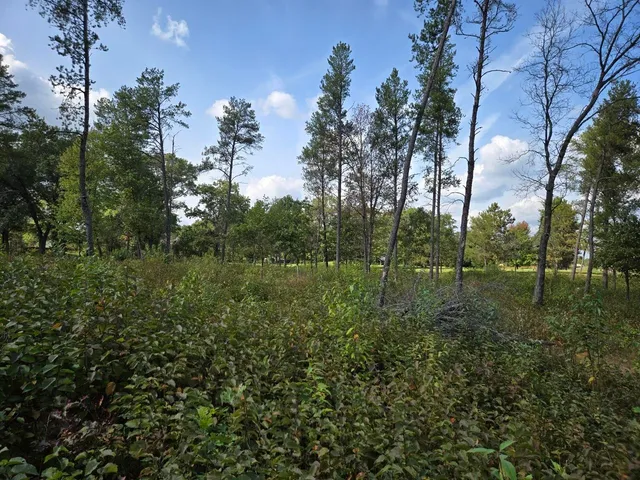 $99,900 | 491 St Andrew Trail, Nekoosa, WI 54457