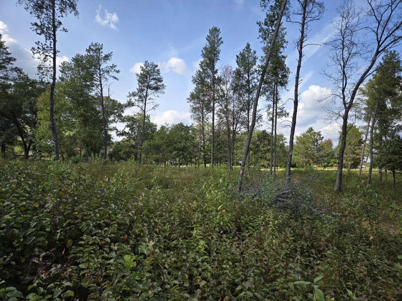 491 St Andrew Trail Nekoosa, WI 54457 - Photo 11 of 19