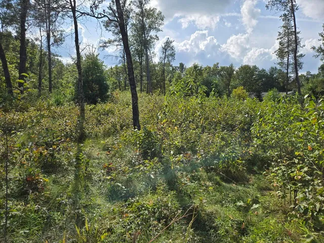 $99,900 | 491 St Andrew Trail, Nekoosa, WI 54457