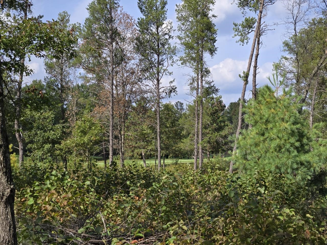 491 St Andrew Trail Nekoosa, WI 54457 - Photo 13 of 19