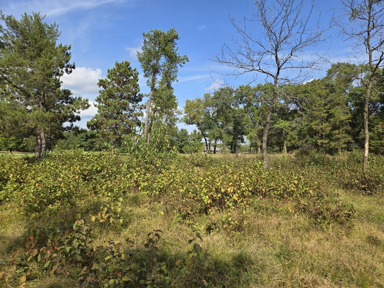 491 St Andrew Trail Nekoosa, WI 54457 - Photo 14 of 19