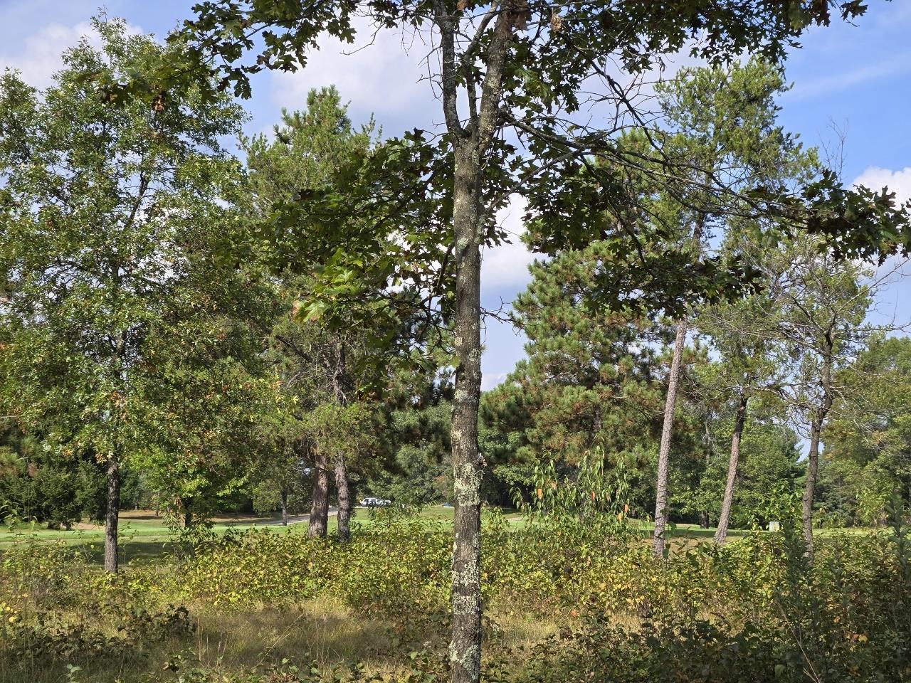 491 St Andrew Trail Nekoosa, WI 54457 - Photo 15 of 19