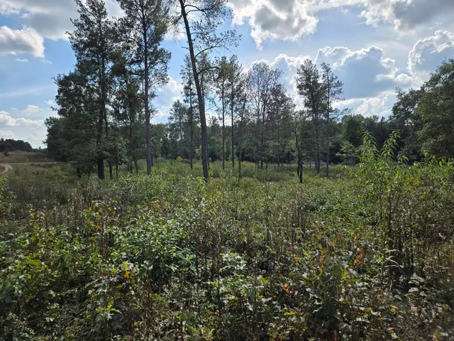 $99,900 | 491 St Andrew Trail, Nekoosa, WI 54457