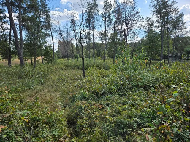 $99,900 | 491 St Andrew Trail, Nekoosa, WI 54457