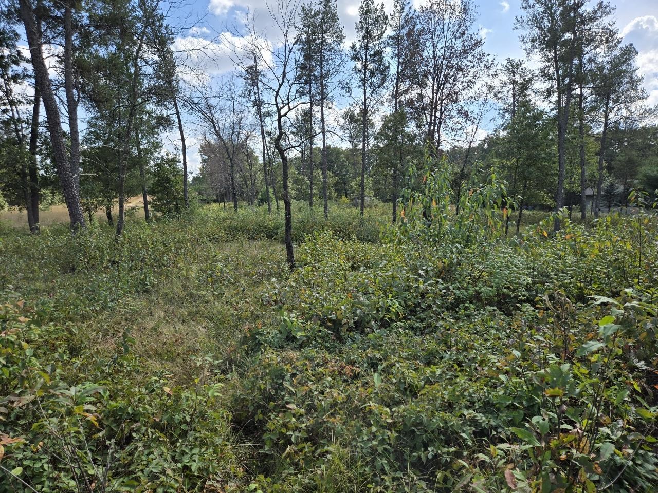 491 St Andrew Trail Nekoosa, WI 54457 - Photo 7 of 19