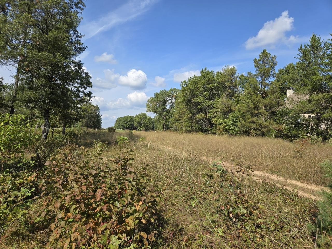 491 St Andrew Trail Nekoosa, WI 54457 - Photo 8 of 19