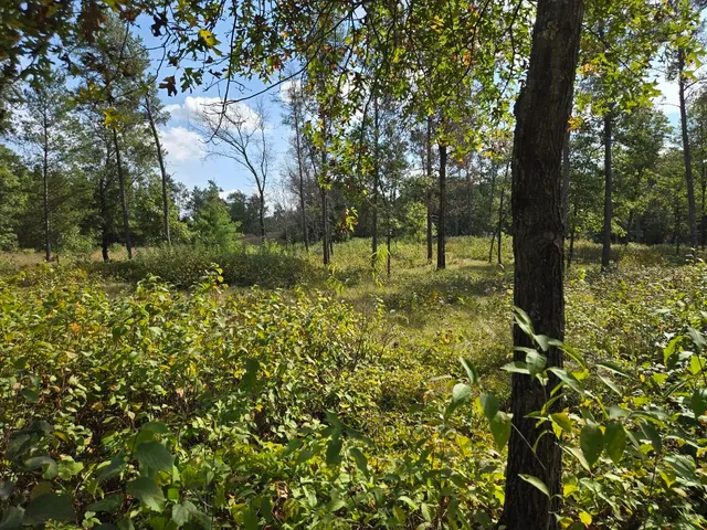 $99,900 | 491 St Andrew Trail, Nekoosa, WI 54457