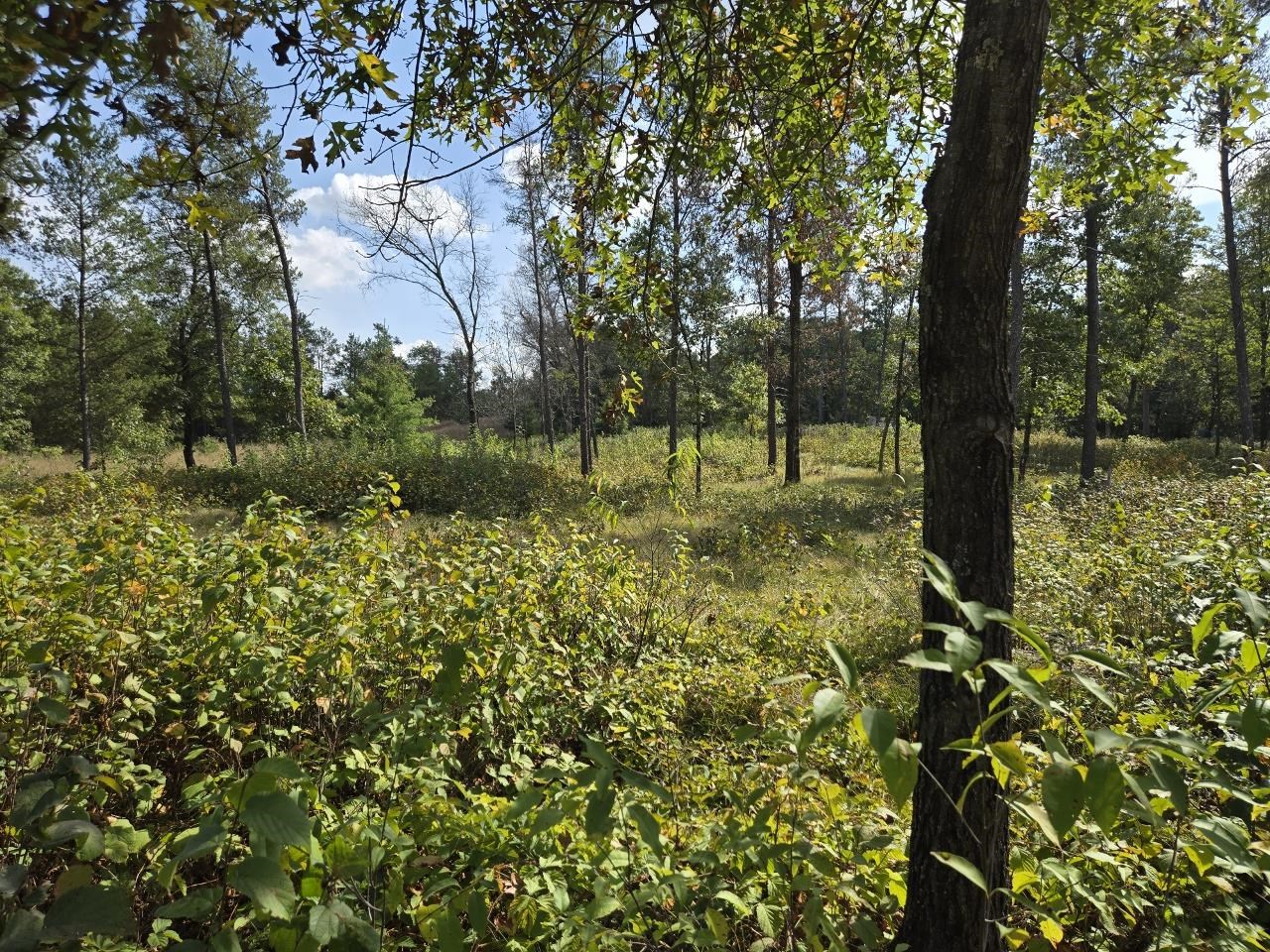 491 St Andrew Trail Nekoosa, WI 54457 - Photo 10 of 19