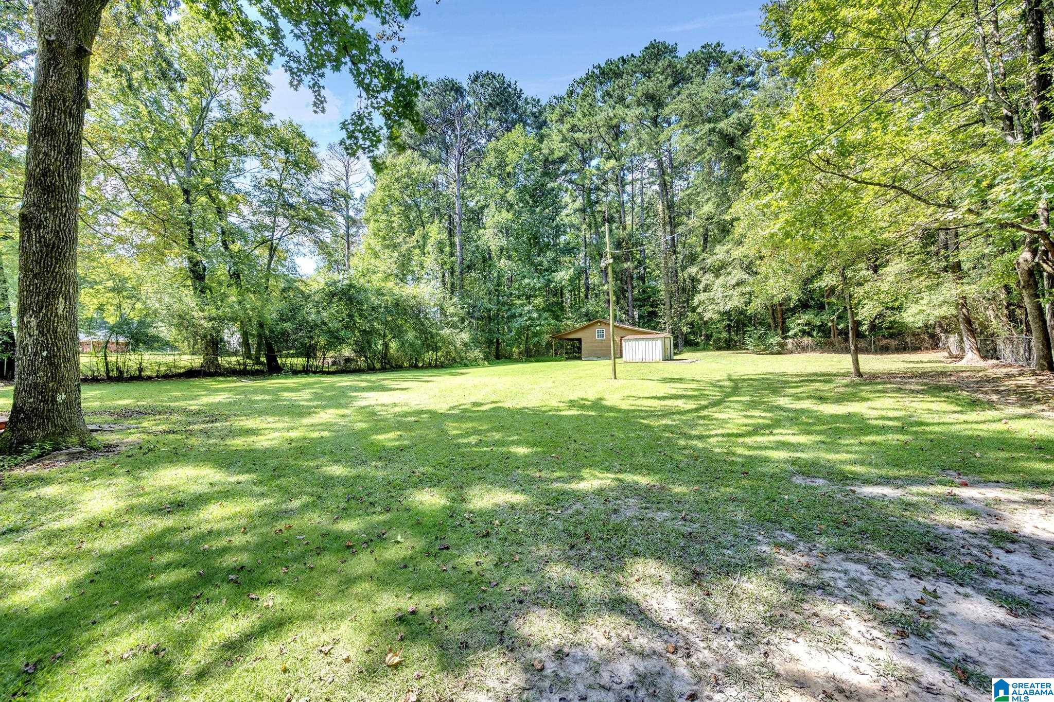 5956 Tommy Town Road Mount Olive, AL 35117 - Photo 28 of 36