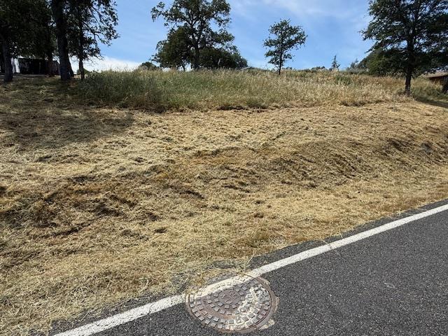 a view of a yard with an ocean view