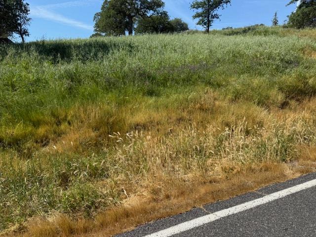 3982 Arrowhead Street Copperopolis, CA 95228 - Photo 6 of 10 a view of a bunch of trees and bushes