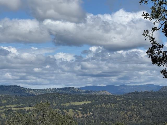 3982 Arrowhead Street Copperopolis, CA 95228 - Photo 7 of 10 a view of city and mountain