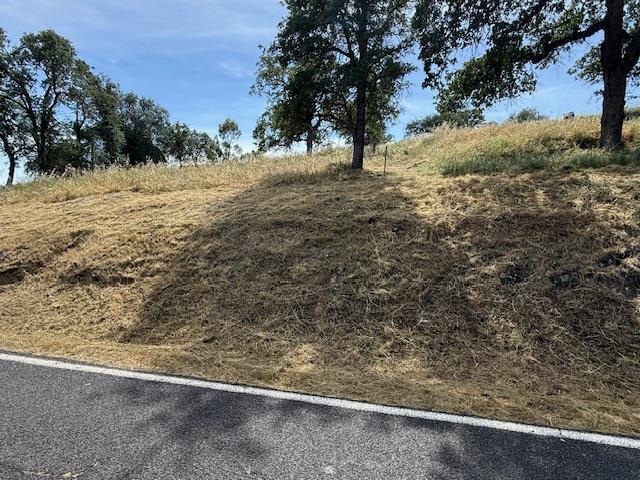 3982 Arrowhead Street Copperopolis, CA 95228 - Photo 8 of 10 a view of a yard with trees