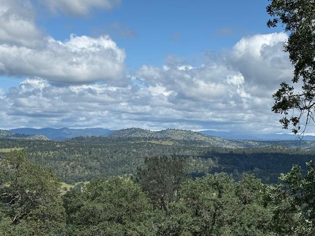 3982 Arrowhead Street Copperopolis, CA 95228 - Photo 10 of 10 a view of a lake in middle of forest