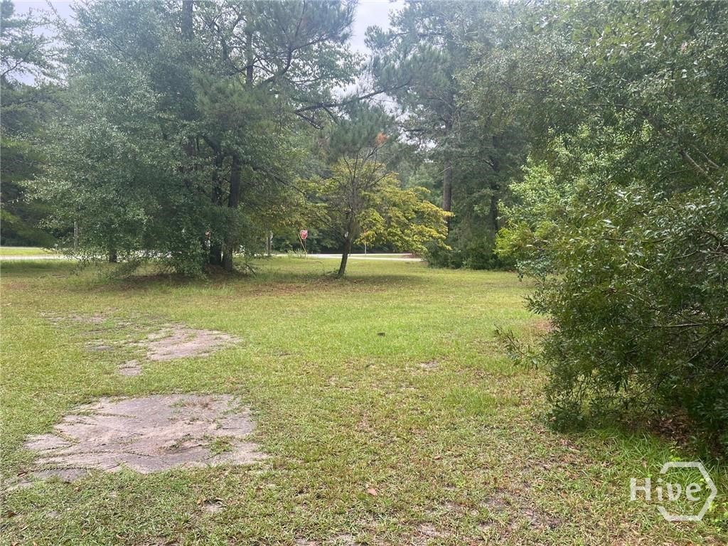 200 Clyo Shawnee Road Springfield, GA 31329 - Photo 4 of 4