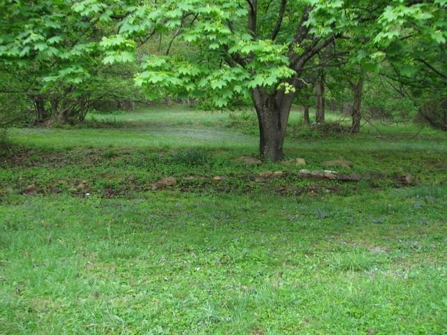3641 Yellow Mountain Road Southeast Roanoke, VA 24014 - Photo 12 of 21 a view of a lush green space