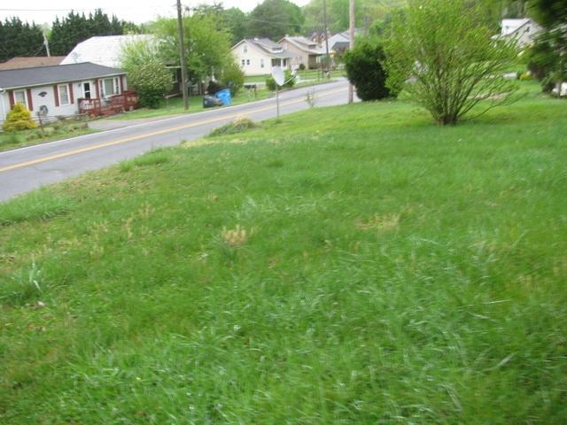 3641 Yellow Mountain Road Southeast Roanoke, VA 24014 - Photo 7 of 21 a view of a garden with houses