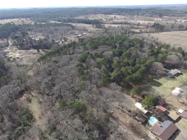 an aerial view of forest