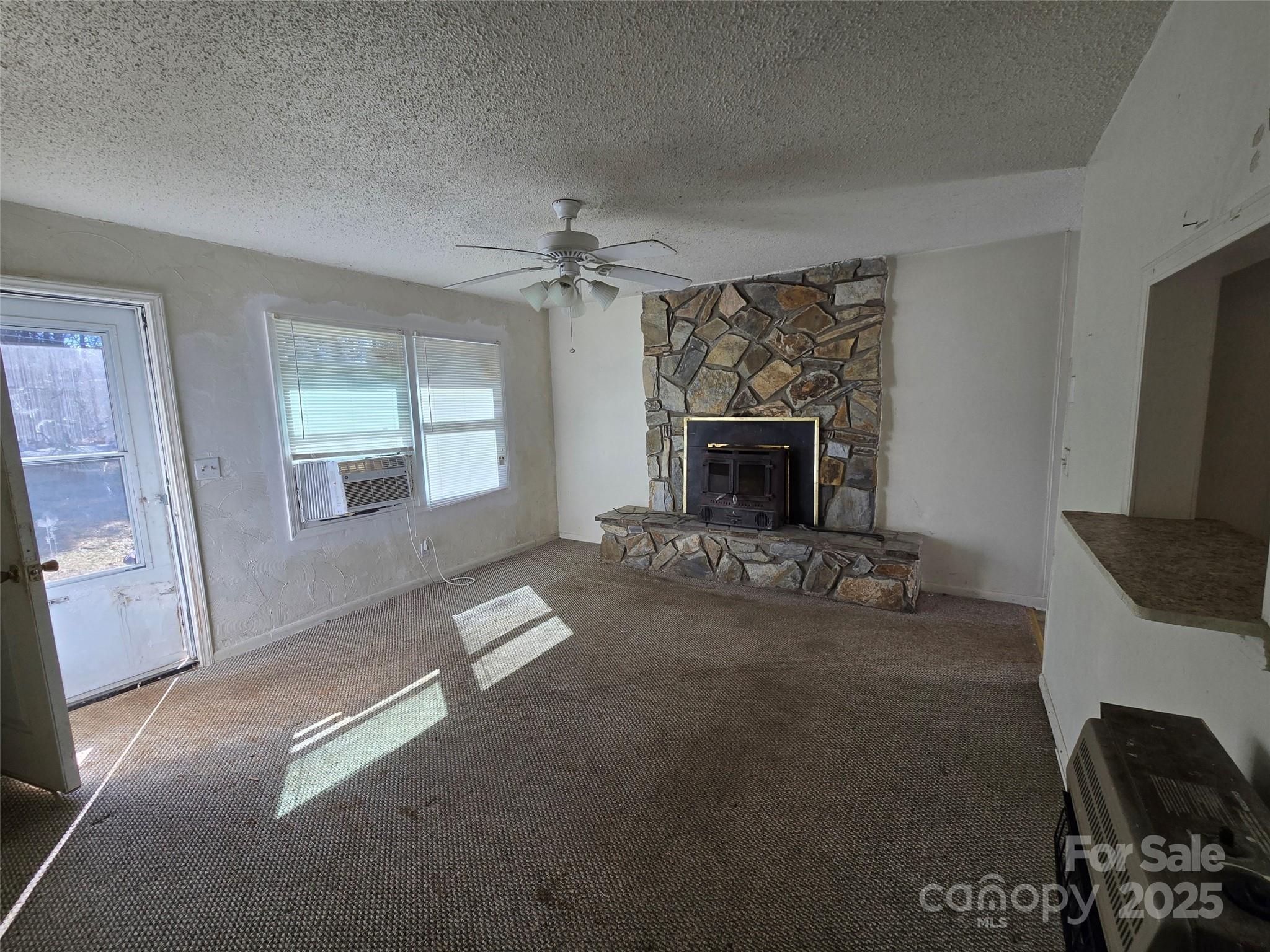 313 Butler Street Biscoe, NC 27209 - Photo 4 of 17 Gallery Image 4