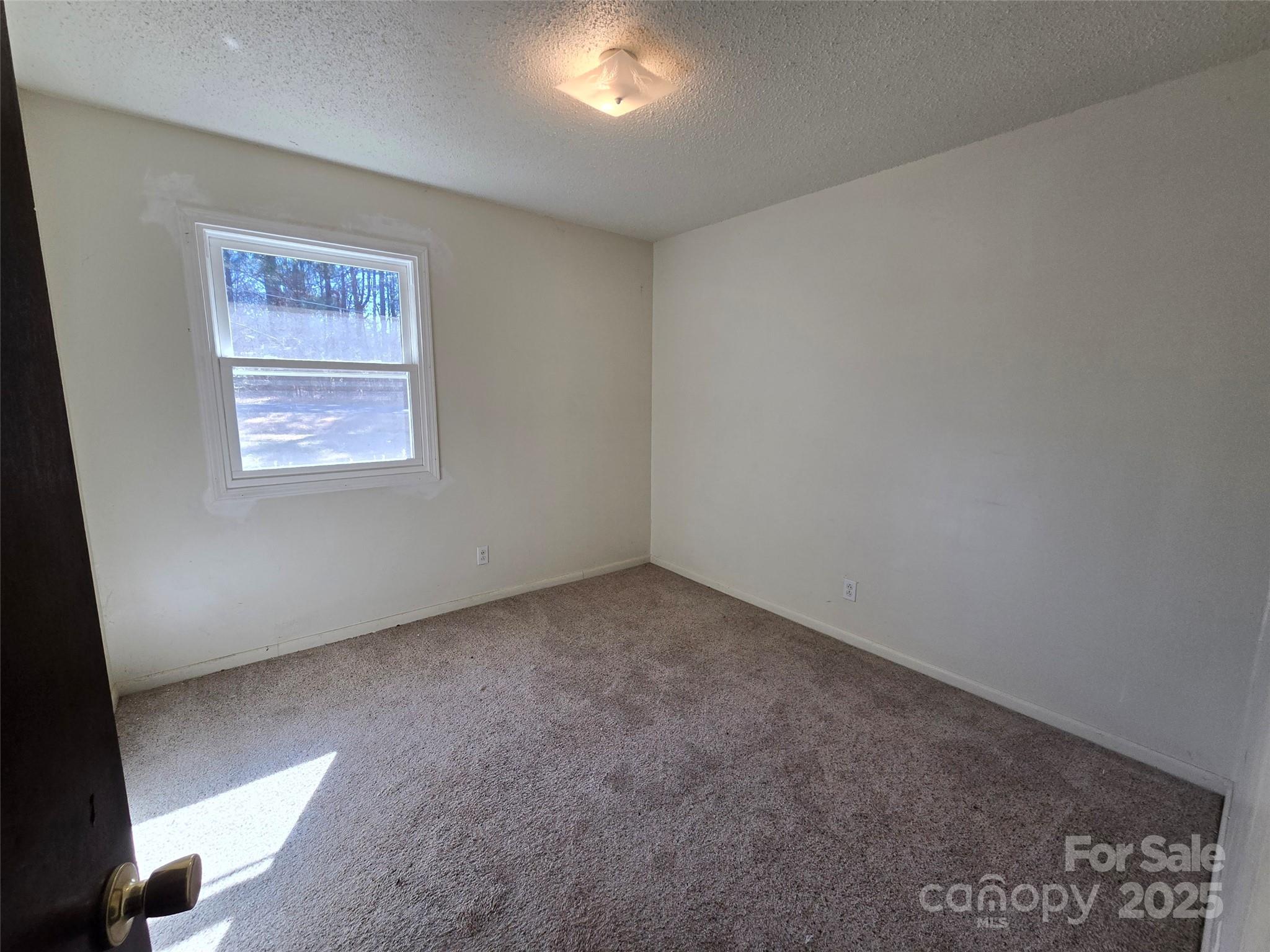 313 Butler Street Biscoe, NC 27209 - Photo 7 of 17 Gallery Image 7