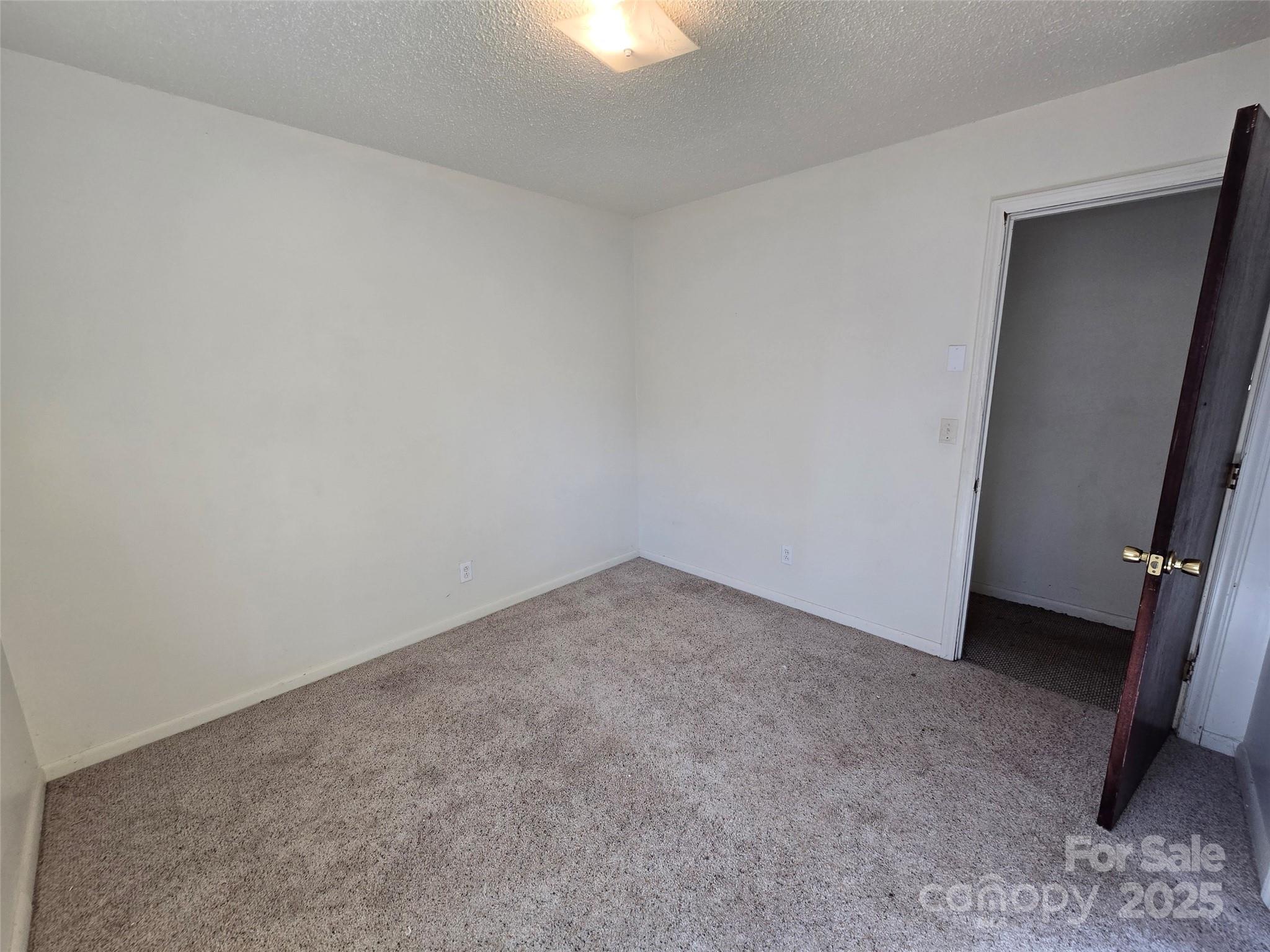 313 Butler Street Biscoe, NC 27209 - Photo 8 of 17 Gallery Image 8