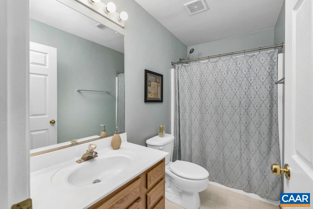 164 Wind Ridge Drive Ruckersville, VA 22968 - Photo 20 of 51 a bathroom with a sink a toilet and shower curtain