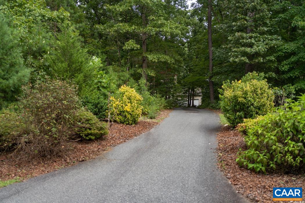 164 Wind Ridge Drive Ruckersville, VA 22968 - Photo 50 of 51 a view of a plants with a tree