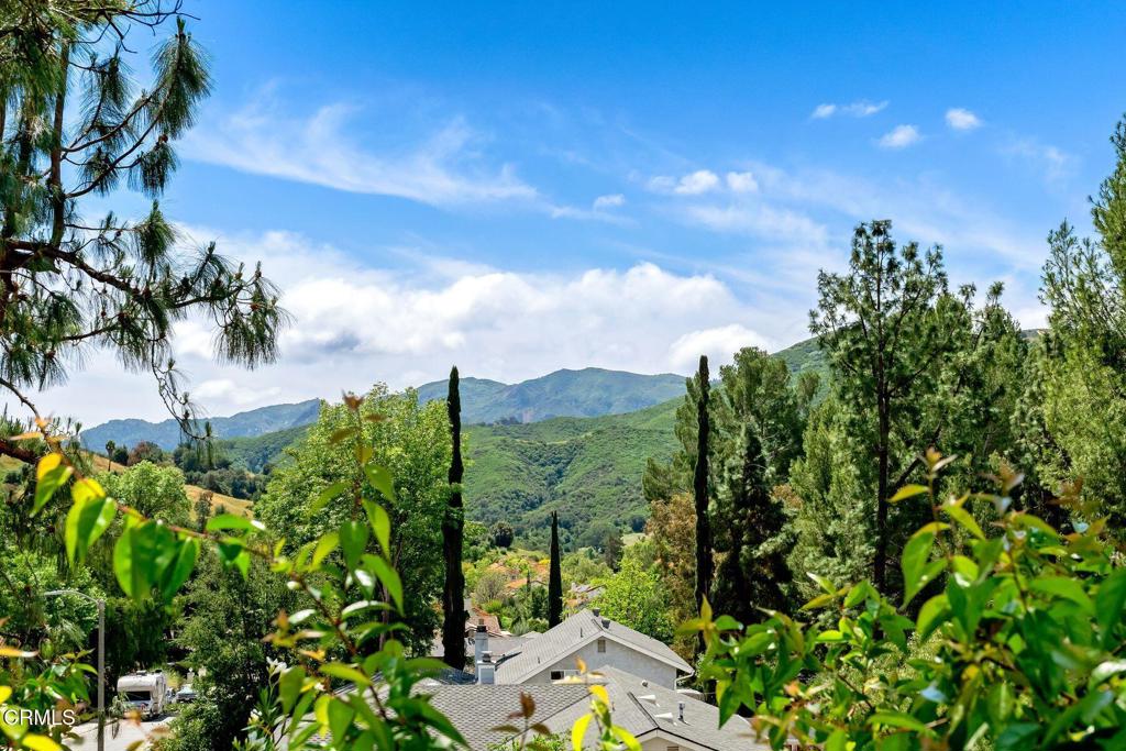 3907 United Road Agoura Hills, CA 91301 - Photo 25 of 34 a view of a yard with plants and a large tree