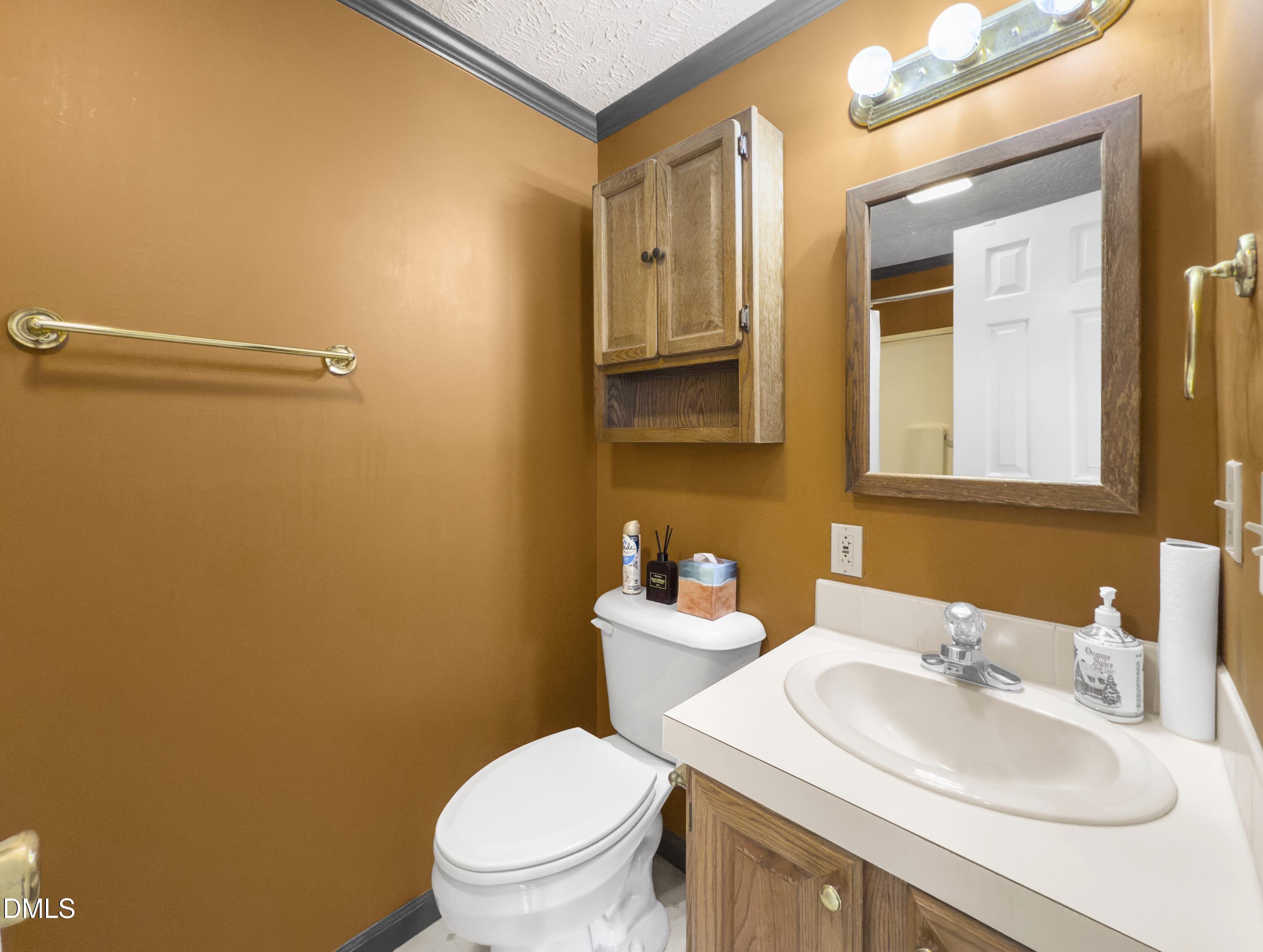 199 Iris Bryant Road Erwin, NC 28339 - Photo 16 of 33 a bathroom with a sink a toilet and mirror