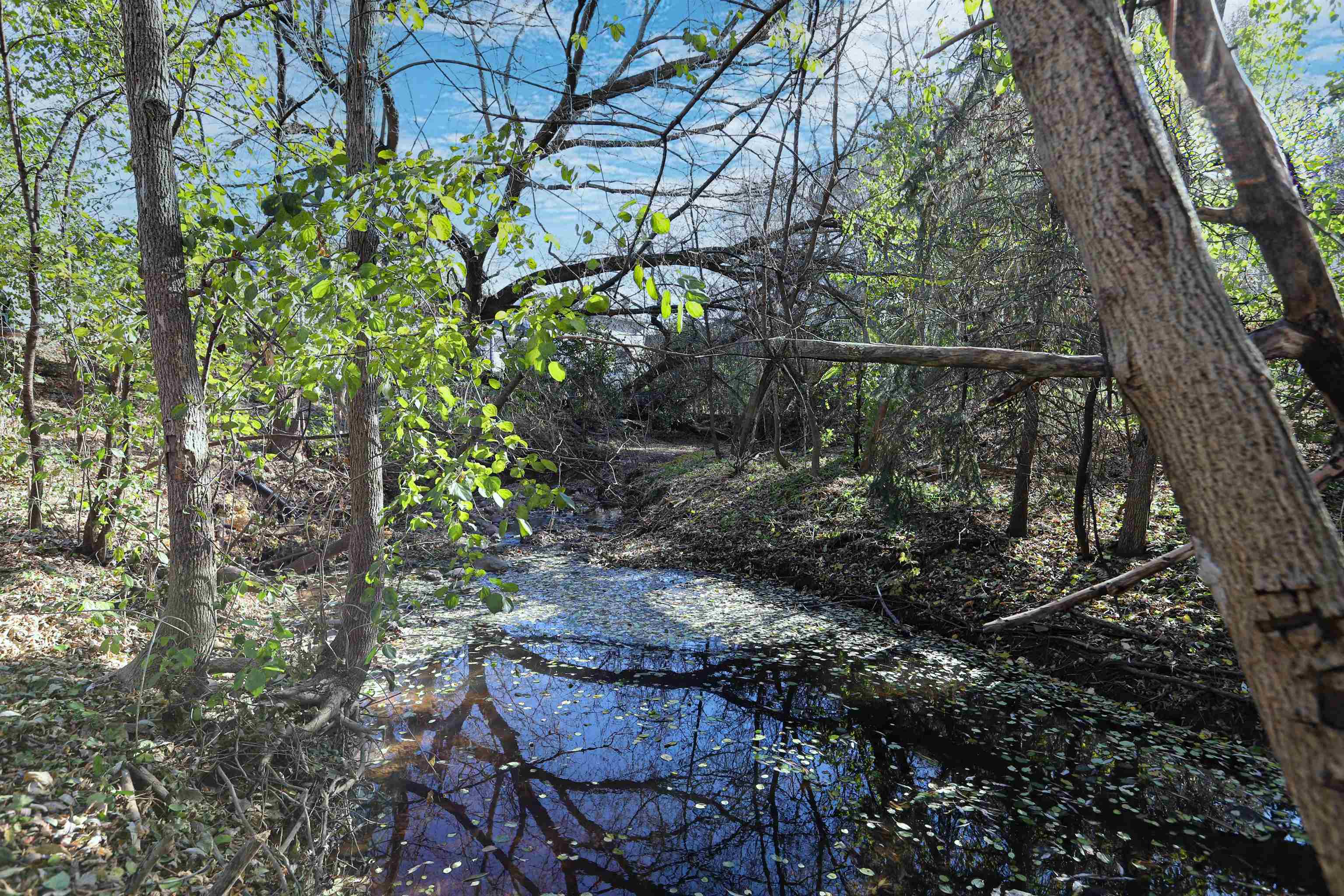 624 South Keller Park Drive Appleton, WI 54914 - Photo 8 of 55