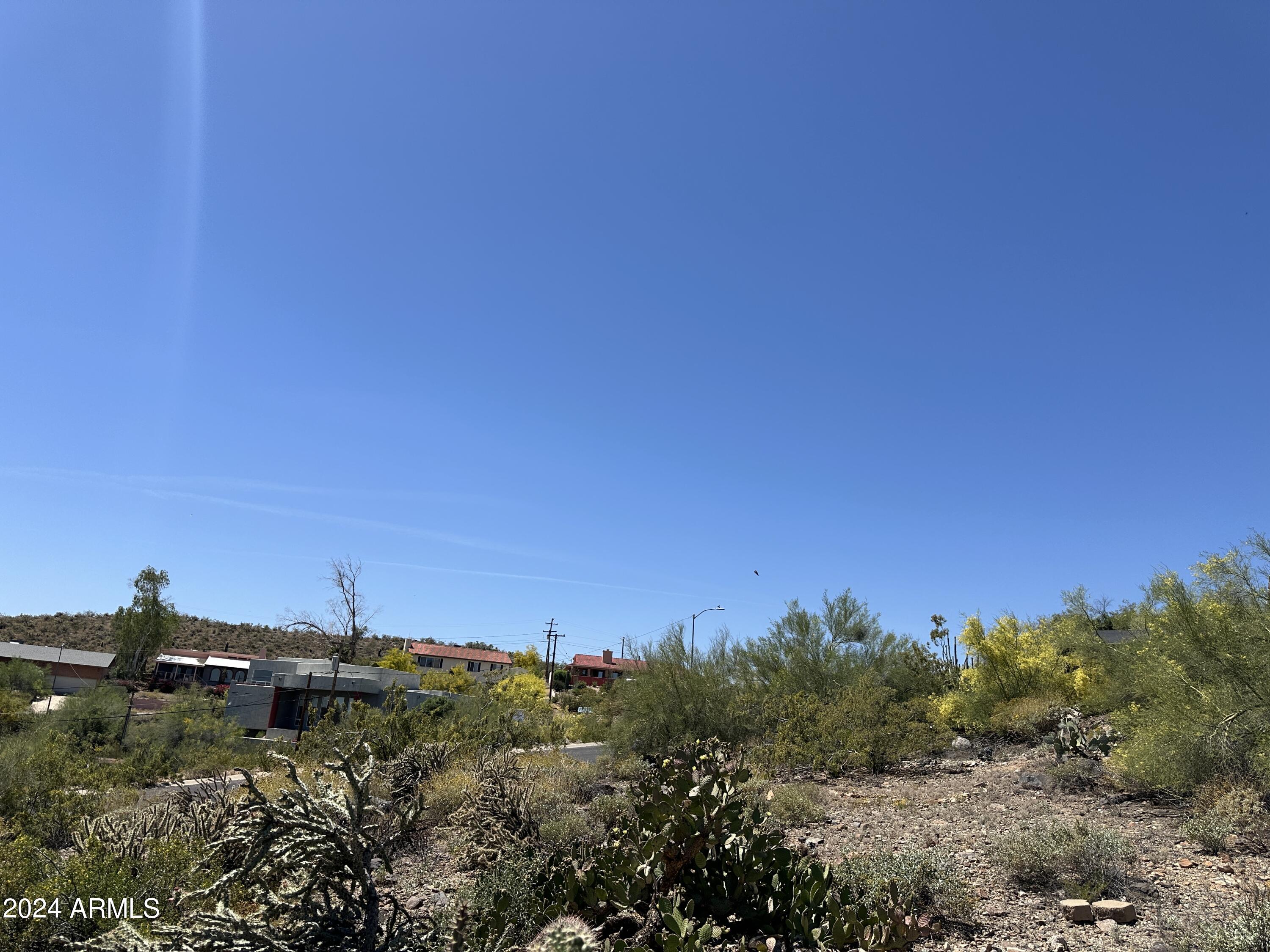 1702 East Calle Santa Cruz, Unit 29 Phoenix, AZ 85022 - Photo 12 of 15 a view of a bunch of trees and bushes