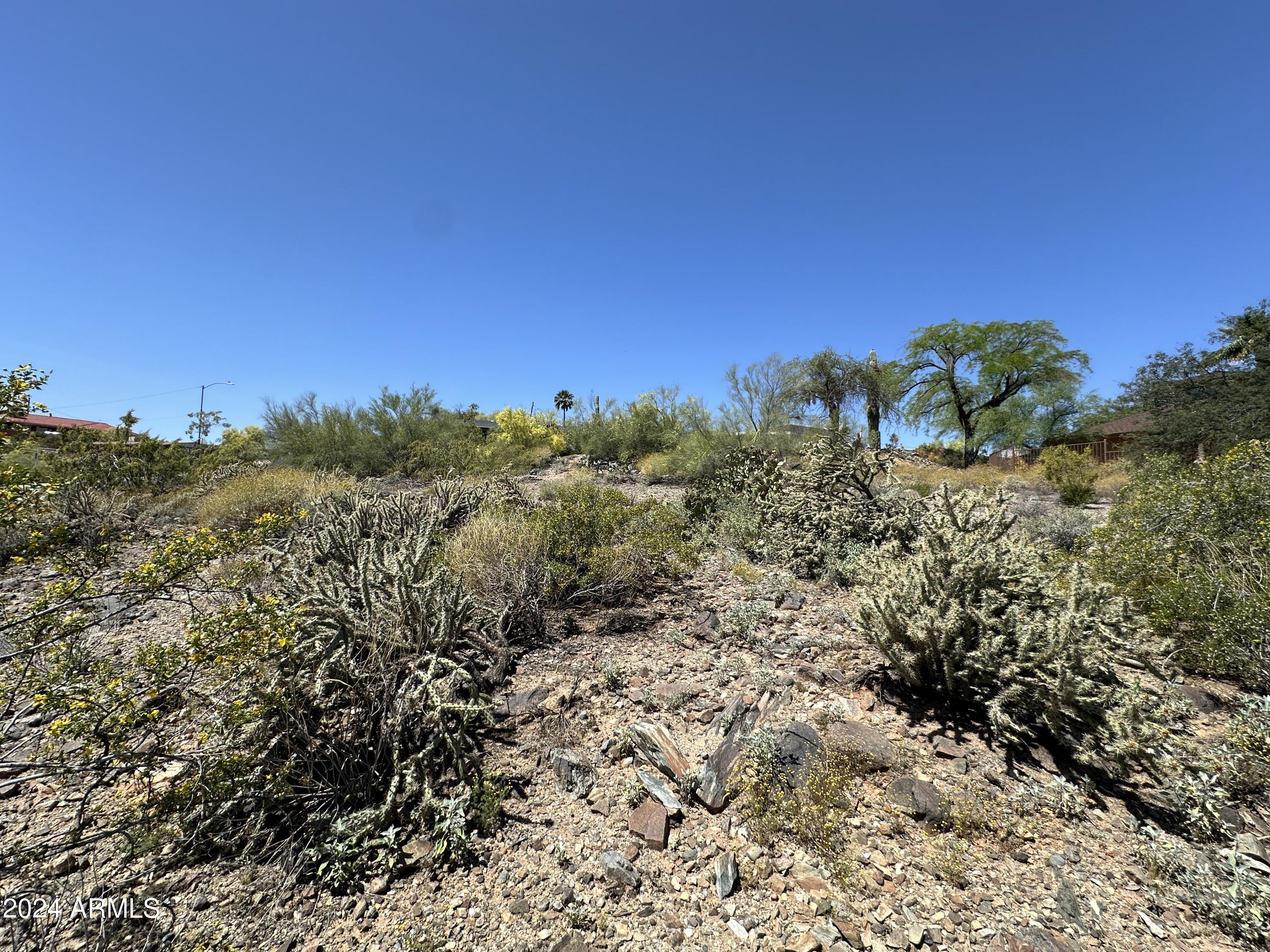 1702 East Calle Santa Cruz, Unit 29 Phoenix, AZ 85022 - Photo 14 of 15 a view of a field with a tree in the background