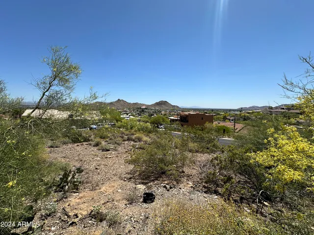 a view of a forest with mountains in the background