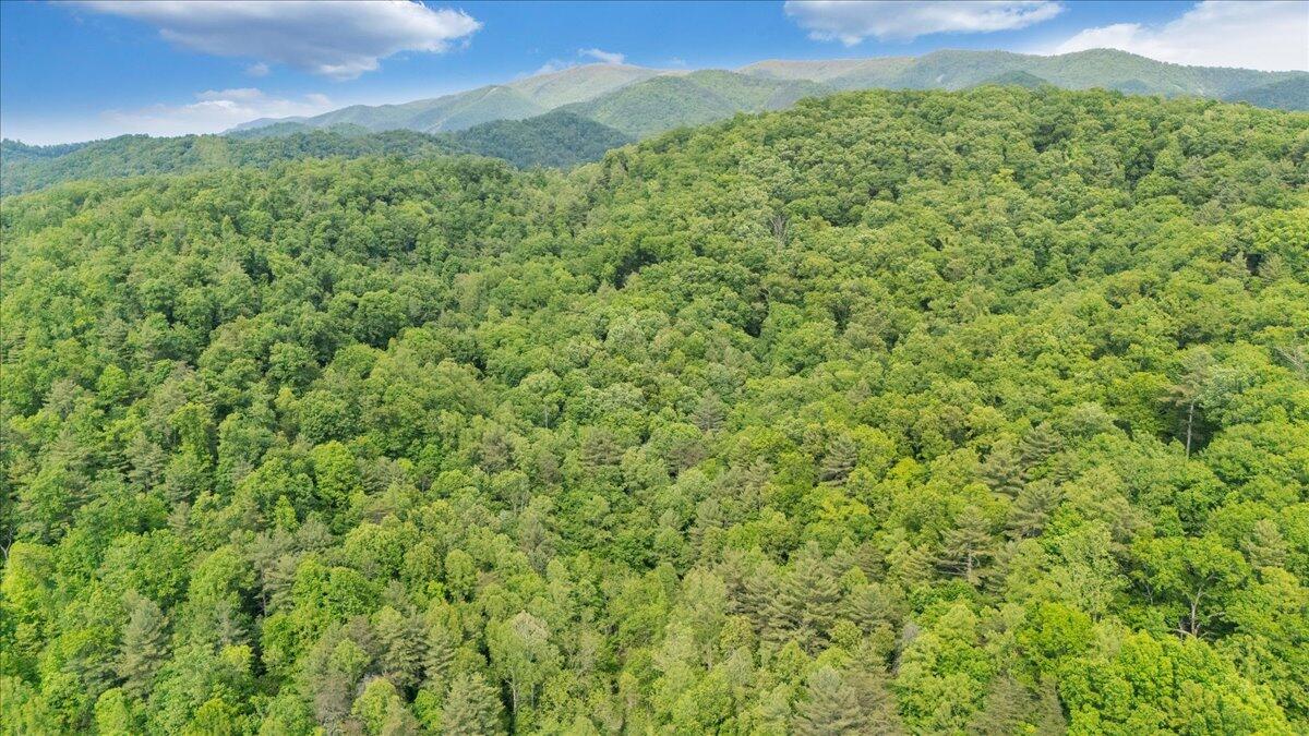 3994 Yates Road Shawsville, VA 24162 - Photo 19 of 40 38-DJI_20260516160845_0039_D