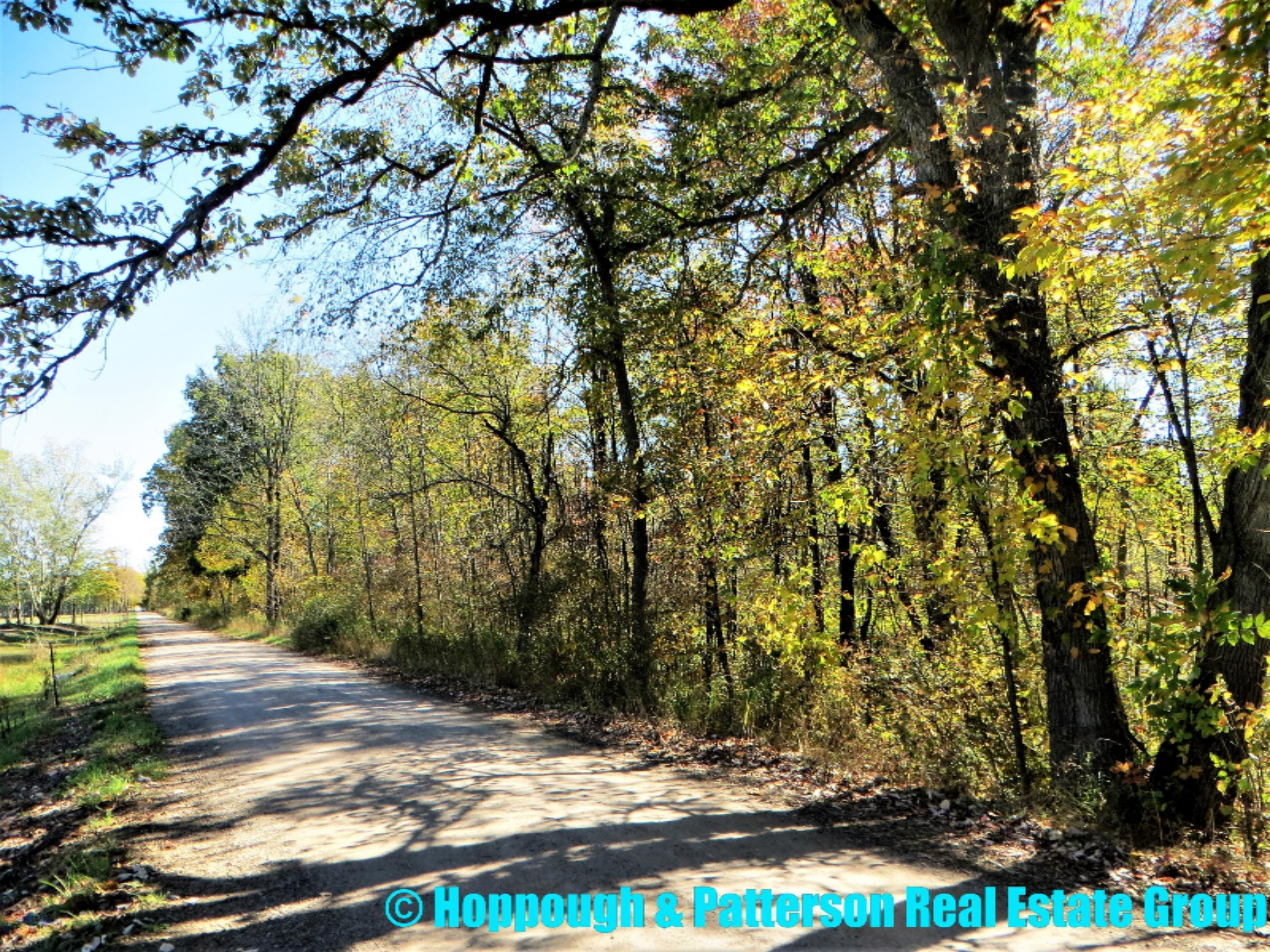 V/l Jones Road Fenwick, MI 48834 - Photo 1 of 18 1