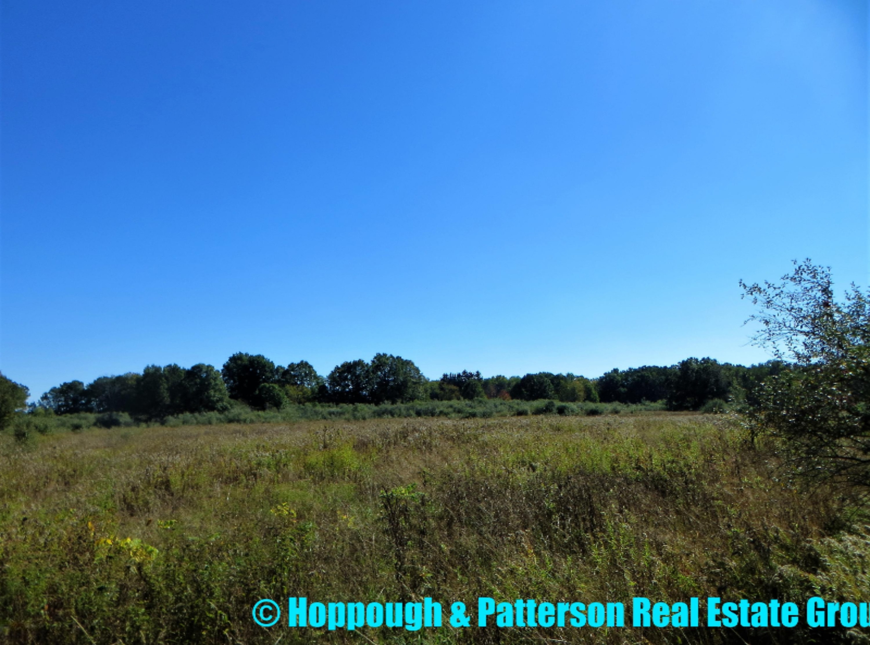 V/l Jones Road Fenwick, MI 48834 - Photo 15 of 18 15