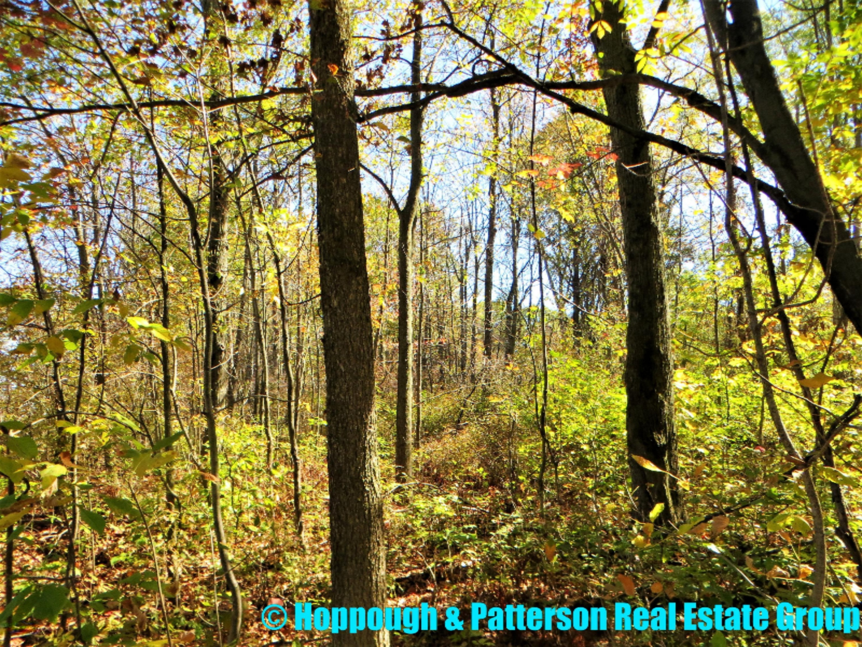 V/l Jones Road Fenwick, MI 48834 - Photo 2 of 18 2