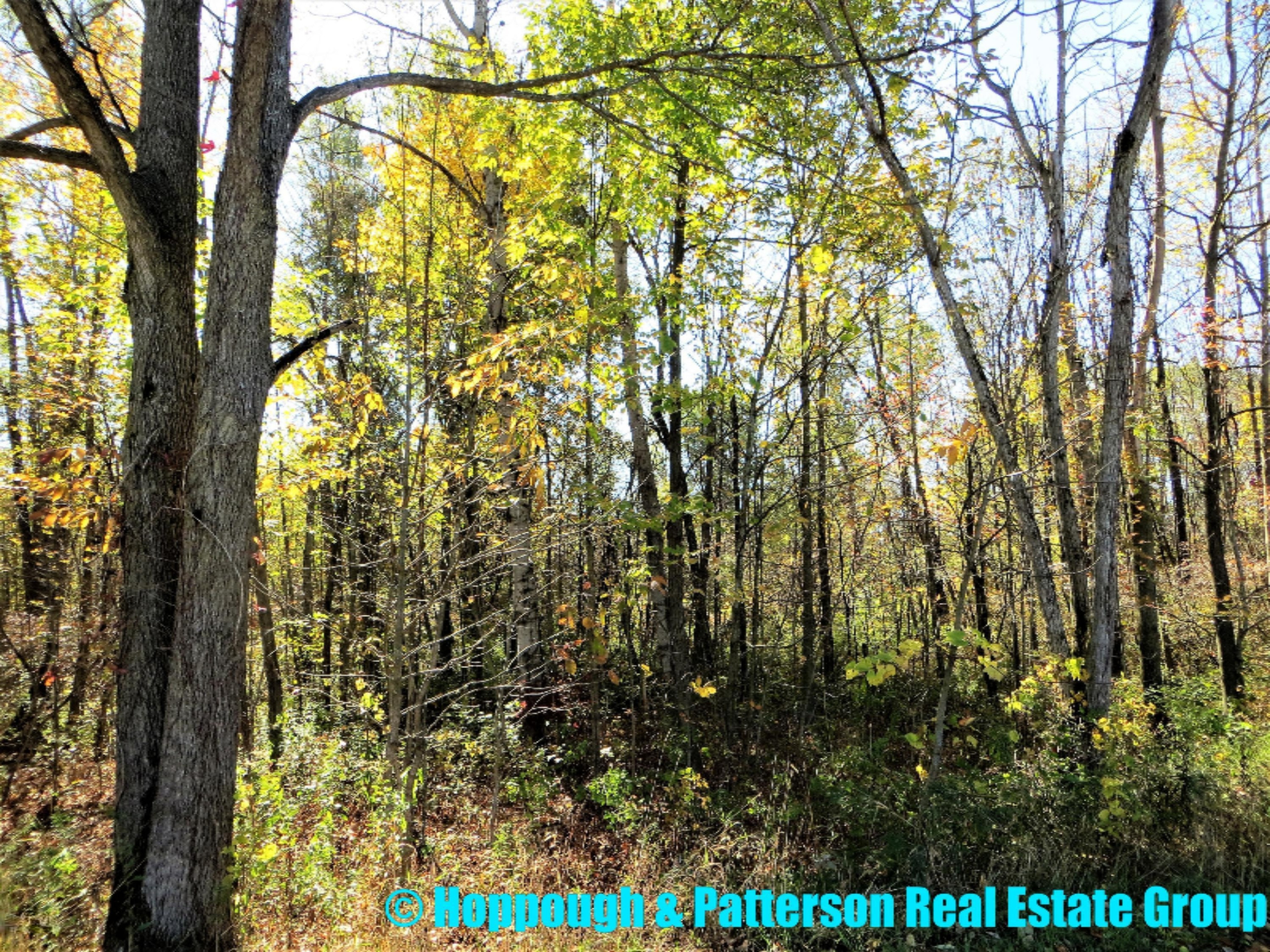 V/l Jones Road Fenwick, MI 48834 - Photo 3 of 18 3