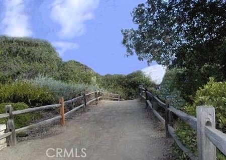 18922 Canyon Summit Lake Forest, CA 92679 - Photo 32 of 32 a view of a forest with trees in the background