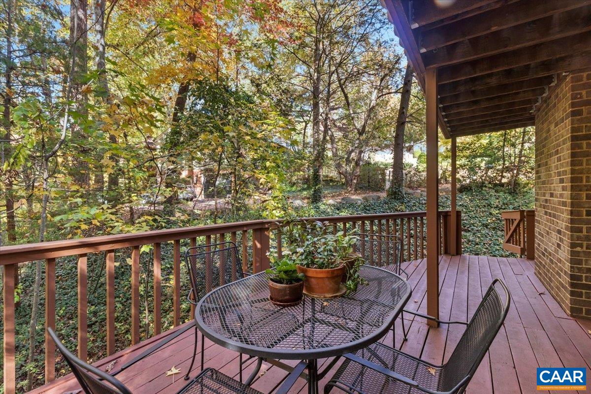 103 Vicar Court Charlottesville, VA 22901 - Photo 36 of 74