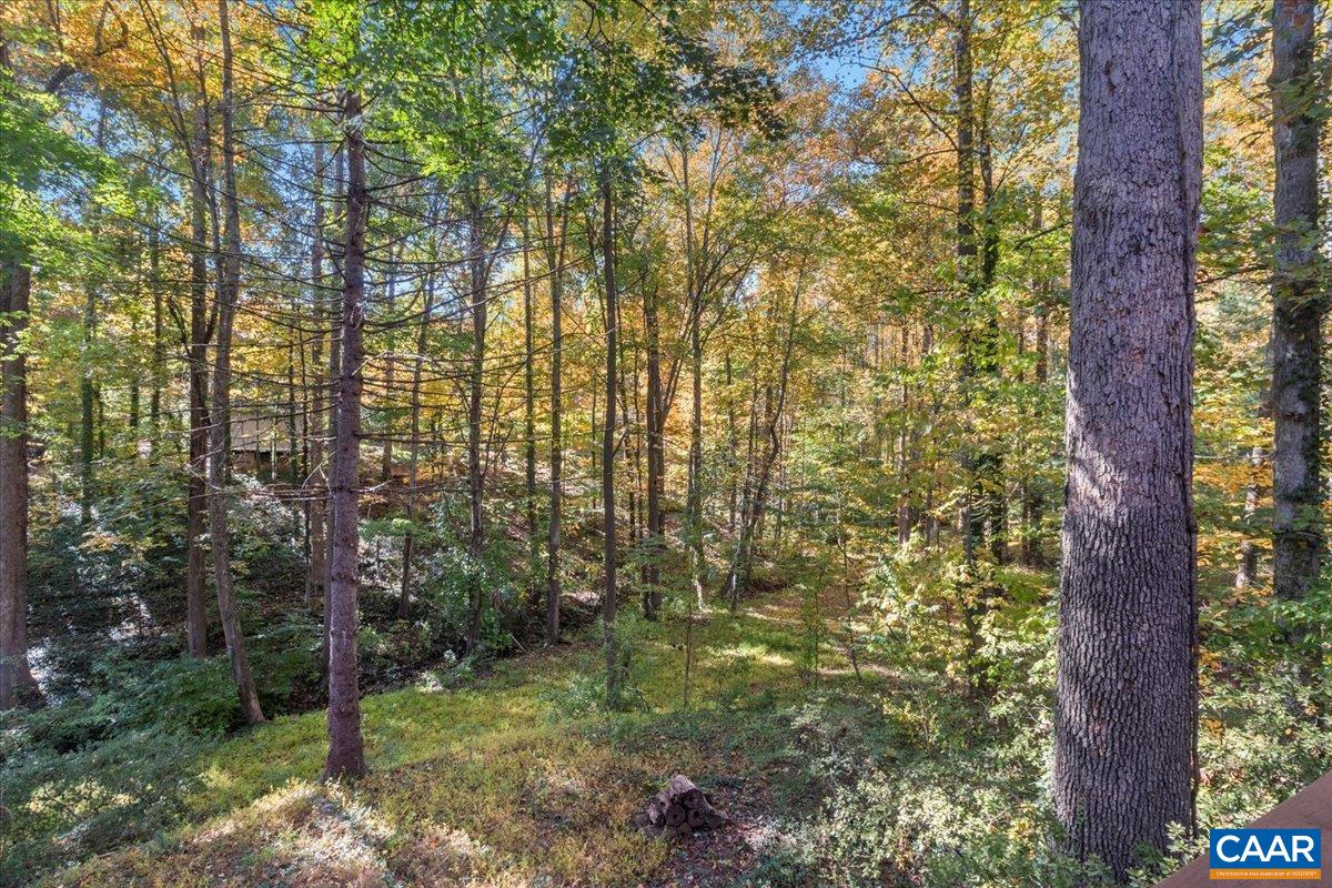 103 Vicar Court Charlottesville, VA 22901 - Photo 37 of 74