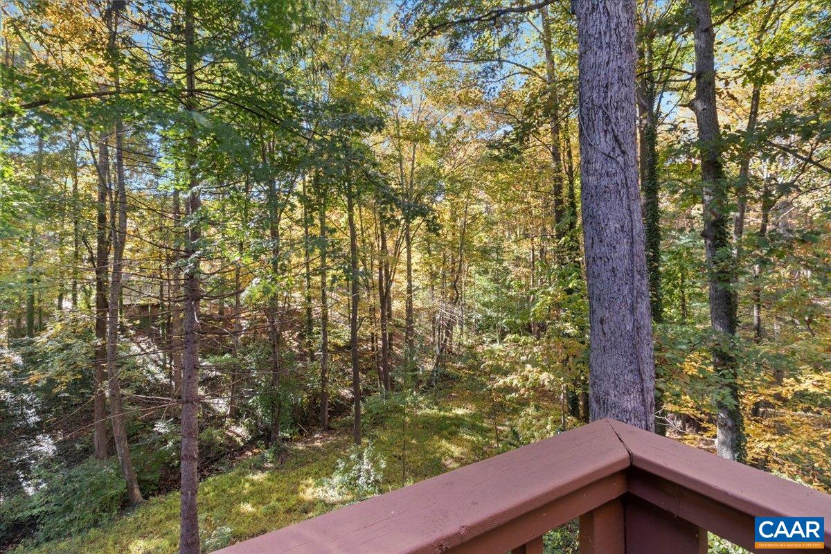 103 Vicar Court Charlottesville, VA 22901 - Photo 45 of 74