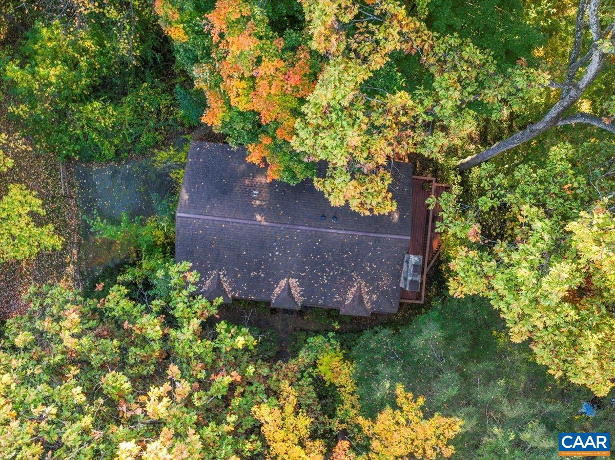 103 Vicar Court Charlottesville, VA 22901 - Photo 69 of 74 a view of a yard with plants